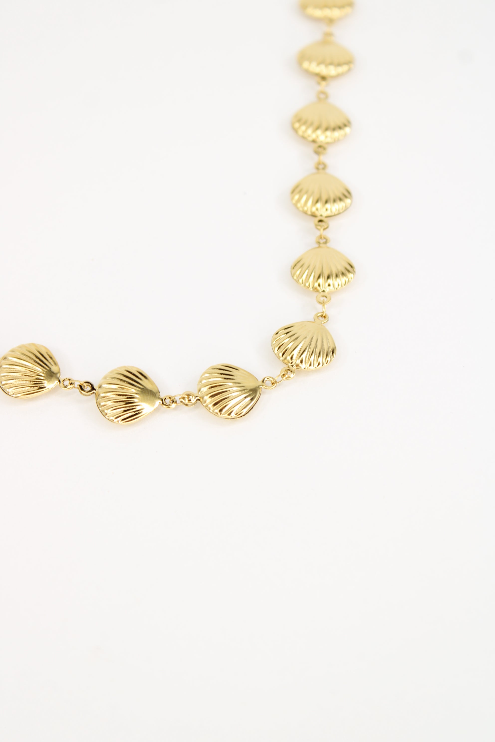 Collier coquillage