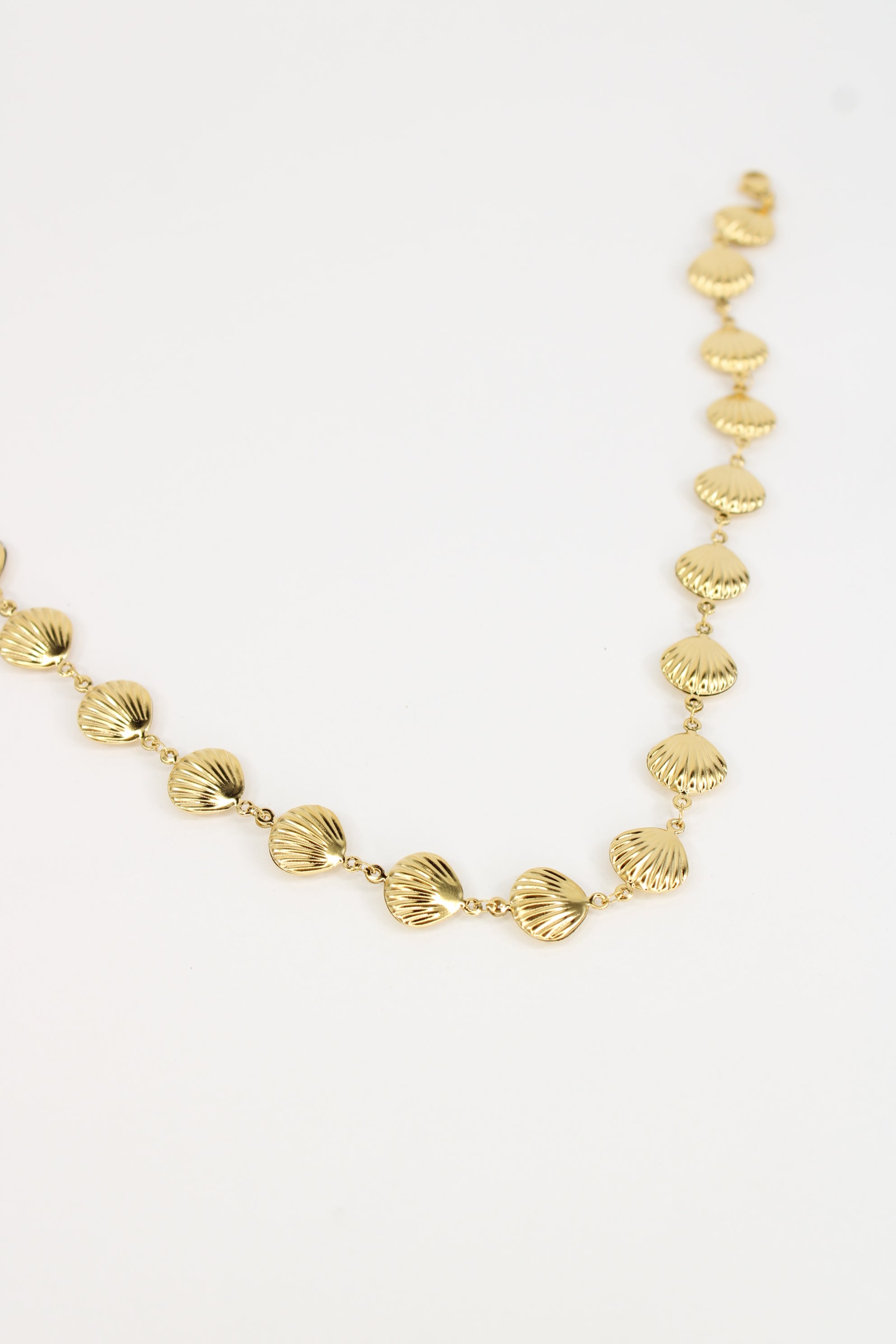 Collier coquillage
