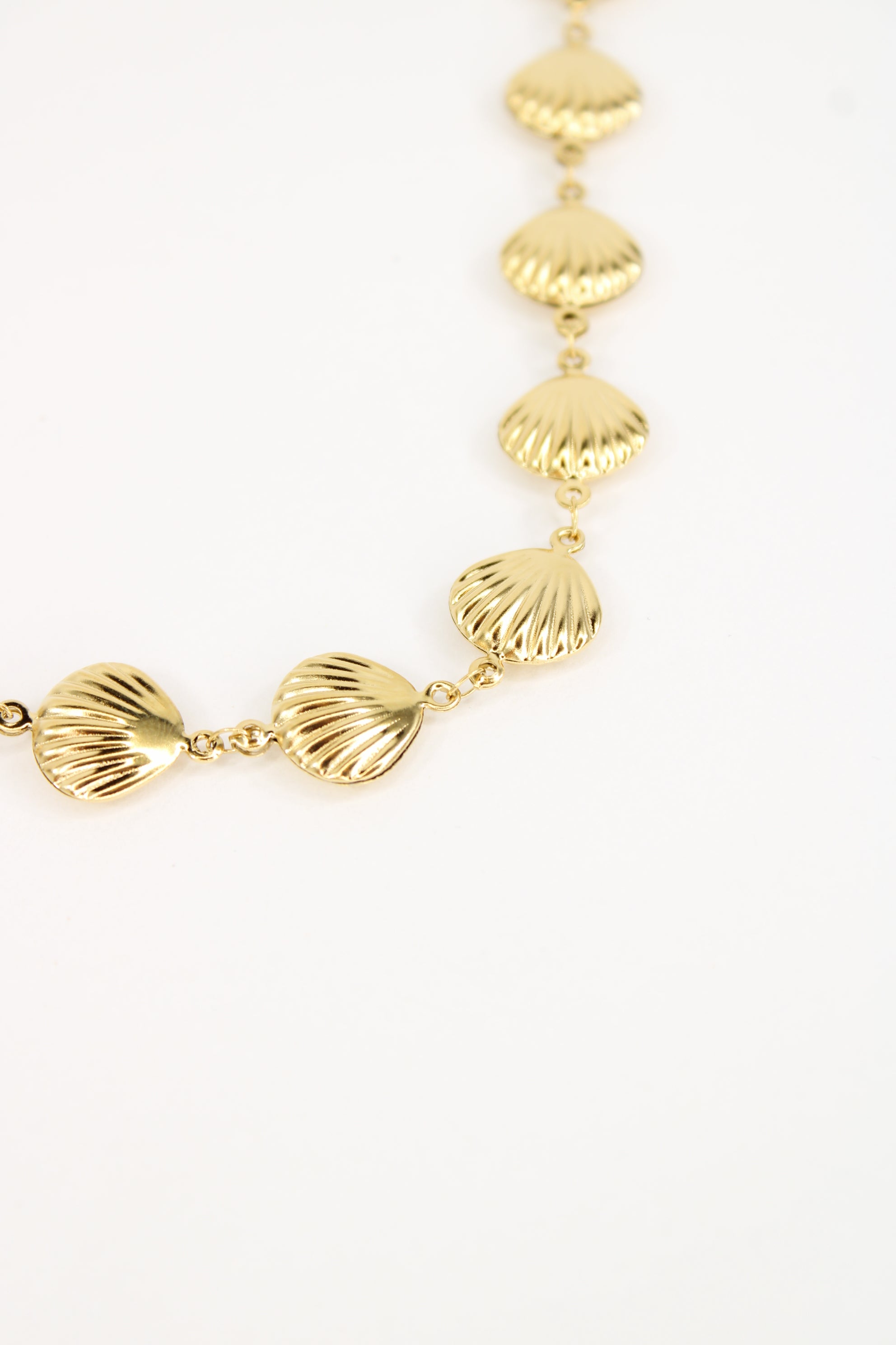 Collier coquillage